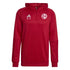 Adidas Tiro 23 Competition Hoodie - Like2Print